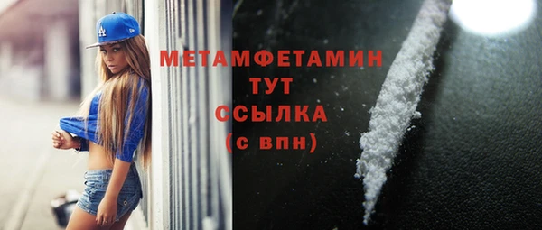 гидра Кодинск