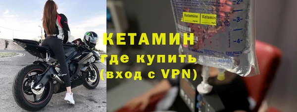 гидра Кодинск
