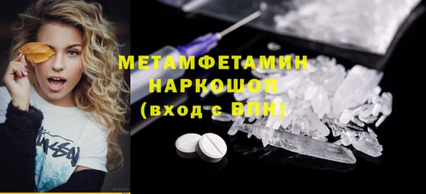 гидра Кодинск