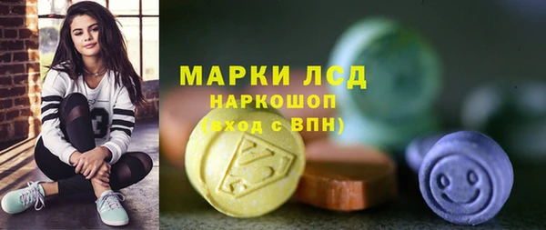 гидра Кодинск