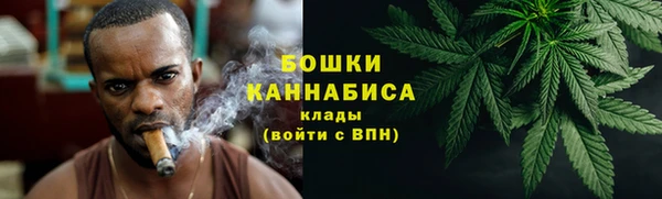 твердый Козельск