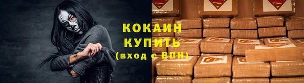 твердый Козельск