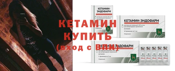твердый Козельск