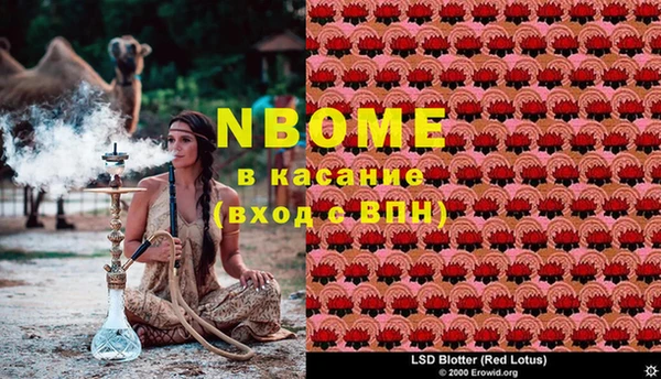 гидра Кодинск
