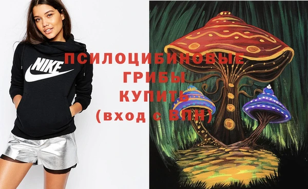 гидра Кодинск