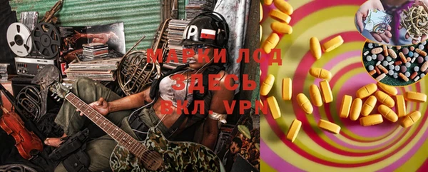 гидра Кодинск