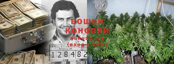 тгк Козловка
