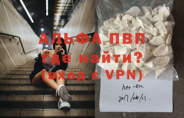 твердый Козельск