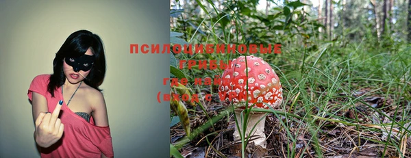 твердый Козельск