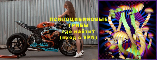 твердый Козельск