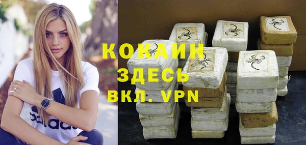 гидра Кодинск
