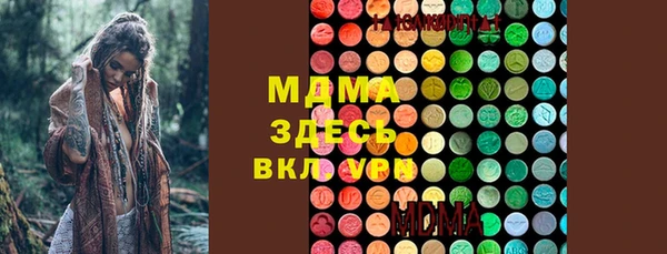 гидра Кодинск