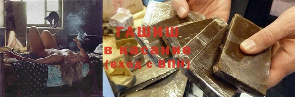 гидра Кодинск